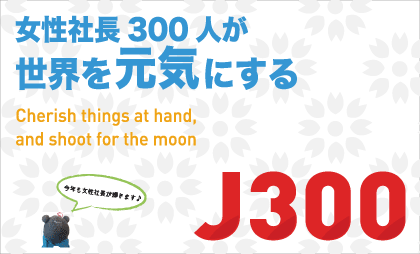 J300 2010